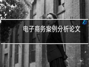电子商务案例分析论文