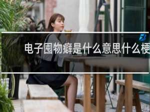 电子囤物癖是什么意思什么梗
