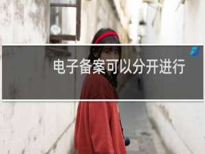 电子备案可以分开进行吗-备案平台