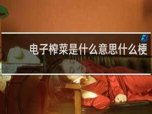 电子榨菜是什么意思什么梗