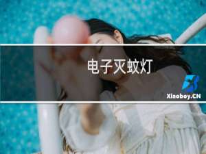 电子灭蚊灯