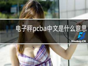 电子秤pcba中文是什么意思