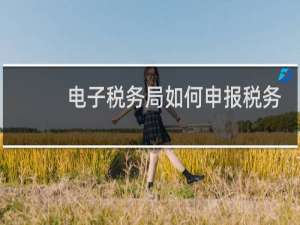 电子税务局如何申报税务
