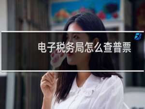 电子税务局怎么查普票