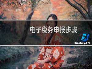 电子税务申报步骤
