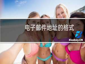 电子邮件地址的格式