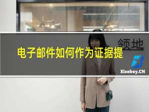 电子邮件如何作为证据提交