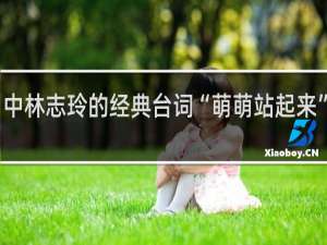 电影《赤壁》中林志玲的经典台词“萌萌站起来”是神马意思什么梗