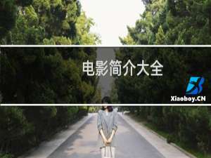 电影简介大全