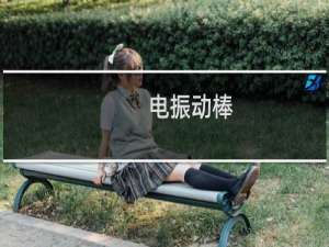 电振动棒
