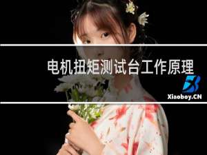 电机扭矩测试台工作原理