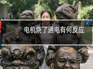 电机烧了通电有何反应（电动车换电机多少钱一个）