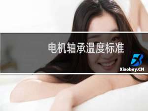 电机轴承温度标准