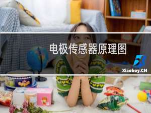 电极传感器原理图