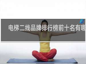 电梯二线品牌排行榜前十名有哪些