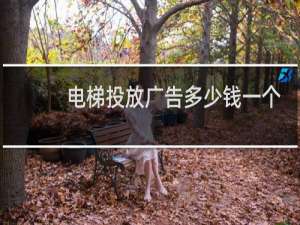 电梯投放广告多少钱一个月