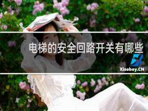 电梯的安全回路开关有哪些