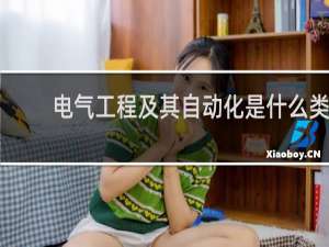电气工程及其自动化是什么类