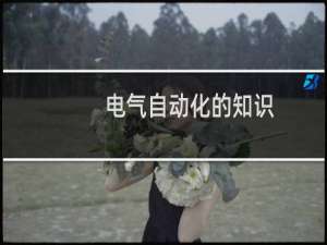 电气自动化的知识