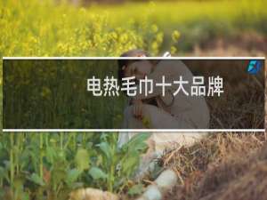 电热毛巾十大品牌