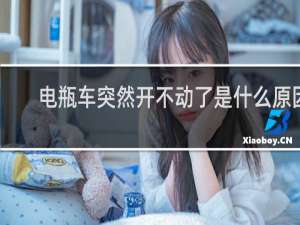 电瓶车突然开不动了是什么原因