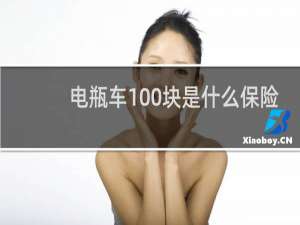 电瓶车100块是什么保险
