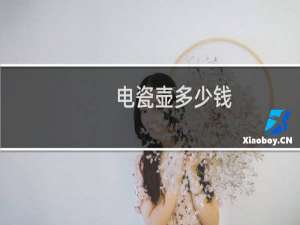 电瓷壶多少钱