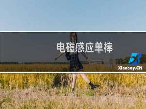 电磁感应单棒