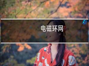 电磁环网(关于电磁环网简述)