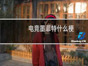 电竞墨菲特什么梗