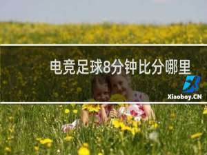 电竞足球8分钟比分哪里看
