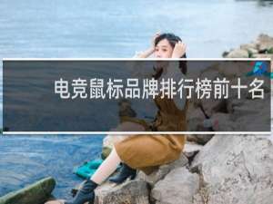 电竞鼠标品牌排行榜前十名
