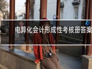 电算化会计形成性考核册答案
