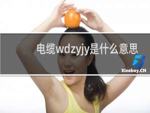 电缆wdzyjy是什么意思