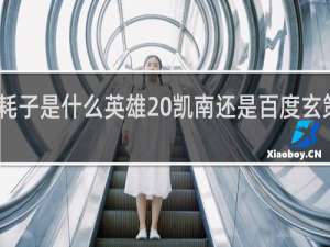 电耗子是什么英雄 凯南还是百度玄策什么梗