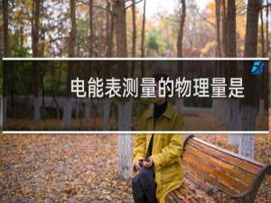 电能表测量的物理量是