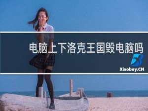 电脑上下洛克王国毁电脑吗