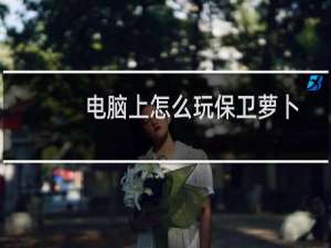 电脑上怎么玩保卫萝卜