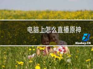 电脑上怎么直播原神