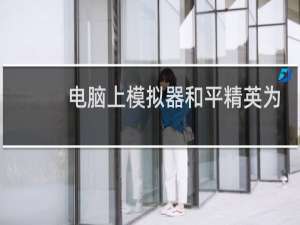 电脑上模拟器和平精英为什么匹配不到人