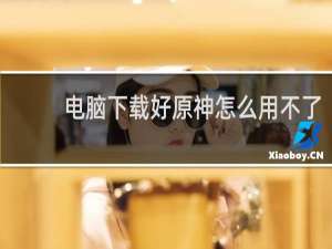 电脑下载好原神怎么用不了