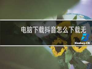 电脑下载抖音怎么下载无水印