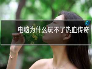 电脑为什么玩不了热血传奇