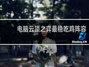 电脑云顶之弈最稳吃鸡阵容