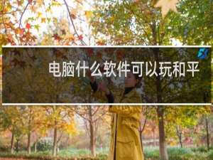 电脑什么软件可以玩和平精英(电脑玩galgame需要什么软件)