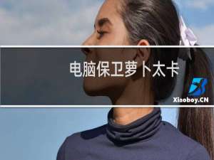 电脑保卫萝卜太卡