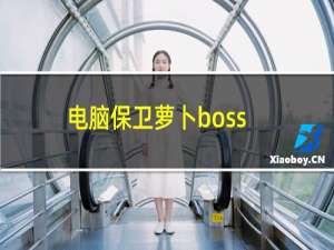 电脑保卫萝卜boss