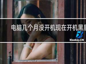 电脑几个月没开机现在开机黑屏