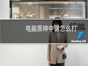 电脑原神中键怎么打