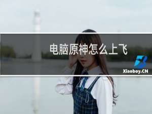 电脑原神怎么上飞